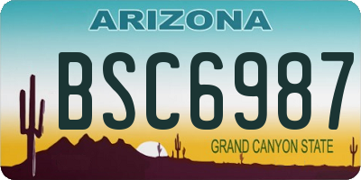 AZ license plate BSC6987