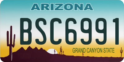 AZ license plate BSC6991