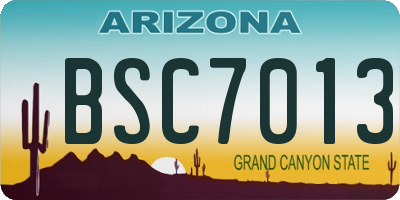 AZ license plate BSC7013