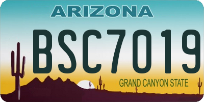 AZ license plate BSC7019