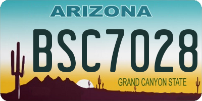 AZ license plate BSC7028