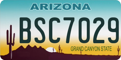 AZ license plate BSC7029