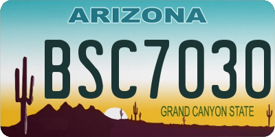 AZ license plate BSC7030