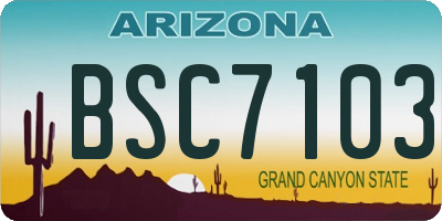 AZ license plate BSC7103