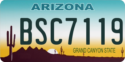 AZ license plate BSC7119