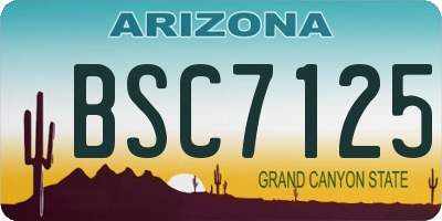 AZ license plate BSC7125