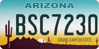 AZ license plate BSC7230