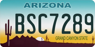 AZ license plate BSC7289