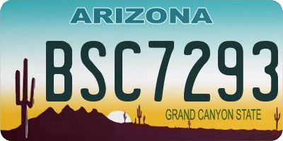AZ license plate BSC7293
