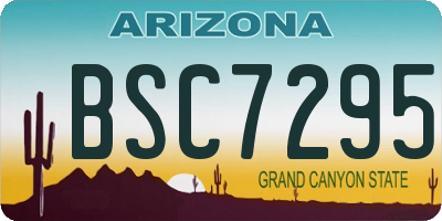 AZ license plate BSC7295