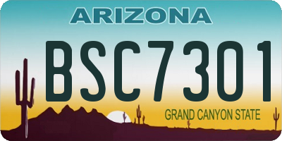 AZ license plate BSC7301