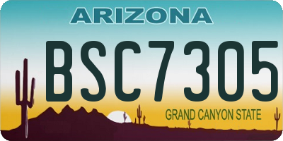 AZ license plate BSC7305