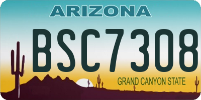 AZ license plate BSC7308