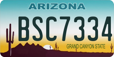 AZ license plate BSC7334