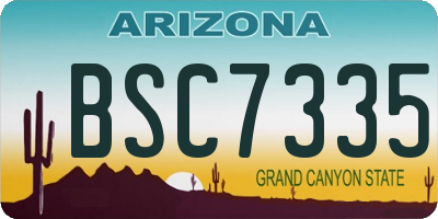AZ license plate BSC7335