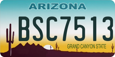 AZ license plate BSC7513