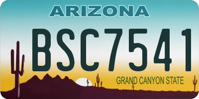 AZ license plate BSC7541