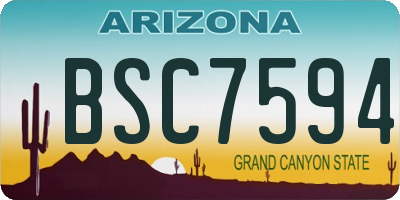 AZ license plate BSC7594