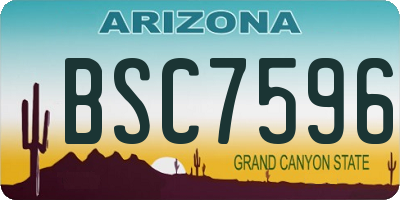 AZ license plate BSC7596