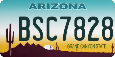 AZ license plate BSC7828