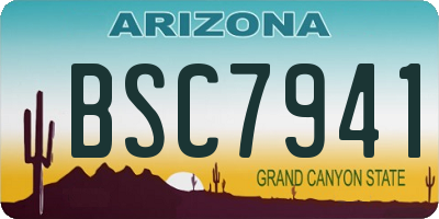 AZ license plate BSC7941