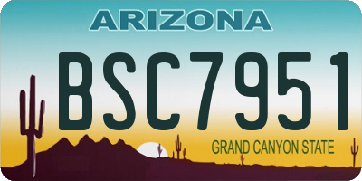 AZ license plate BSC7951