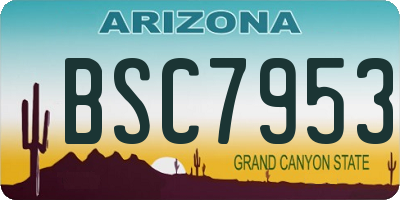 AZ license plate BSC7953