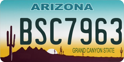 AZ license plate BSC7963