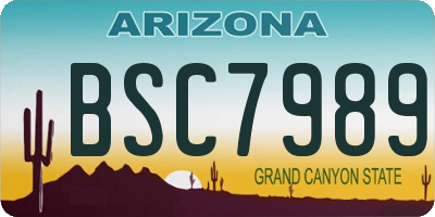 AZ license plate BSC7989