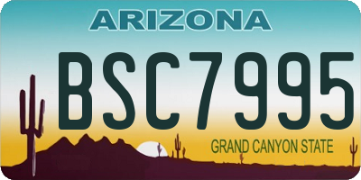 AZ license plate BSC7995