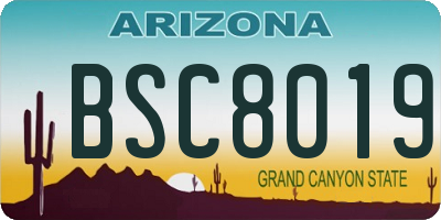 AZ license plate BSC8019