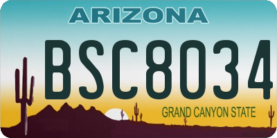 AZ license plate BSC8034