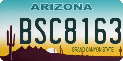 AZ license plate BSC8163