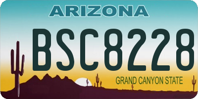 AZ license plate BSC8228