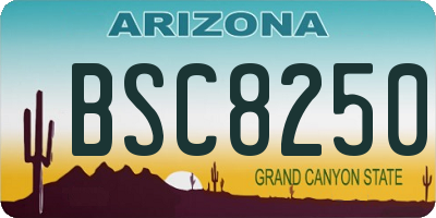 AZ license plate BSC8250