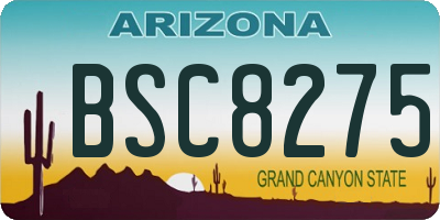 AZ license plate BSC8275