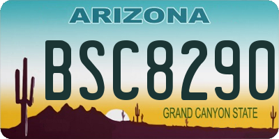 AZ license plate BSC8290