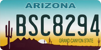 AZ license plate BSC8294