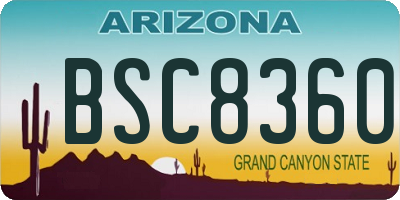 AZ license plate BSC8360