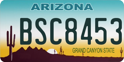 AZ license plate BSC8453