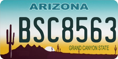 AZ license plate BSC8563