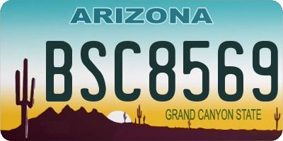 AZ license plate BSC8569