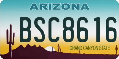 AZ license plate BSC8616