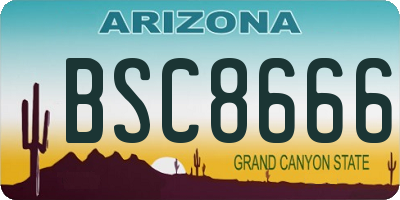 AZ license plate BSC8666