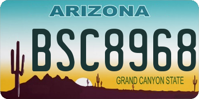 AZ license plate BSC8968
