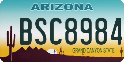AZ license plate BSC8984