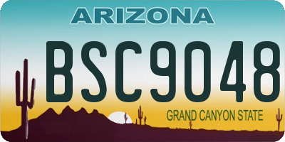 AZ license plate BSC9048
