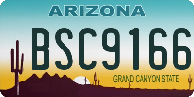 AZ license plate BSC9166