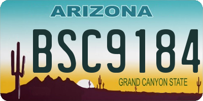 AZ license plate BSC9184