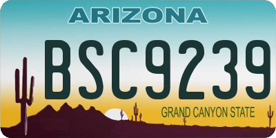 AZ license plate BSC9239